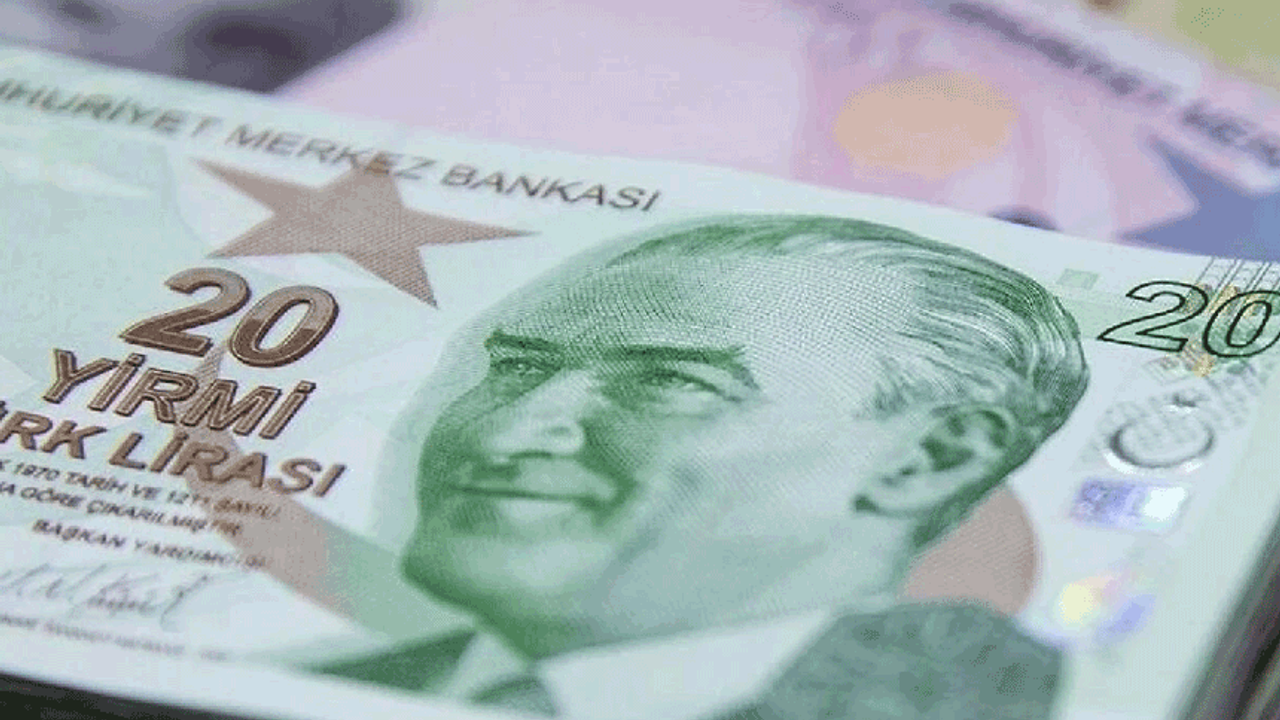 Yeni 20 TL'lik banknotlar bugün tedavüle girdi