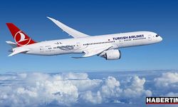 Türk Hava Yolları, İstanbul-Berlin seferlerini iptal etti