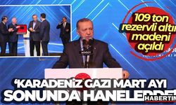 Mart ayı sonunda Karadeniz gazını hanelere verilmeye başlanacak