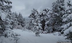 Meteoroloji'den 42 il için kar yağışı uyarısı