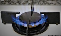 Ocak ayında en fazla ucuzlayan ürün doğalgaz oldu