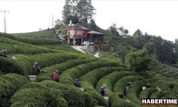 Rize'de bin 365 işçi alımına, 38 bin başvuru