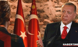Erdoğan CNN'e konuştu: Böyle diktatör mü olur?