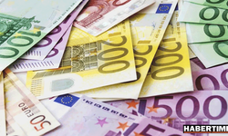 Euro kullanımı dibi gördü!