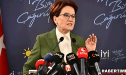 Meral Akşener'e istifa çağrısı
