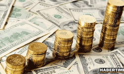 Resmi rezerv varlıkları 114,9 milyar dolara geriledi