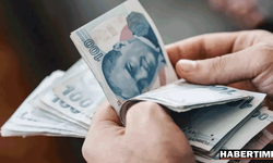 Vatandaşlık maaşı kimlere verilecek?