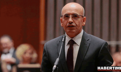 Bakan Şimşek: Merkez Bankası kendi işini yapacak