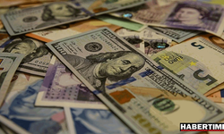 Dolar'daki rekorun KKM'deki faturası