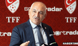 Mehmet Büyükekşi yeniden TFF başkanı 
