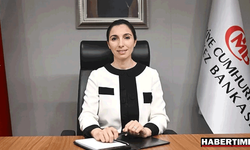 Hafize Gaye Erkan'dan bankacılara ''döviz'' ayarı
