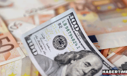 Yıl sonu dolar kuru tahmini açıklandı