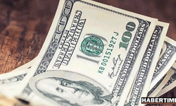 Yıl sonu Dolar/TL ne kadar olacak? Dikkat çeken tahmin