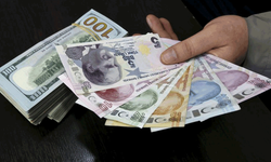 Dev bankadan Dolar/TL tahmini