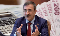 Enflasyon'da tek hane 2026'da