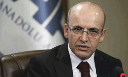 Şimşek’i sinirlendiren haber yalanlandı
