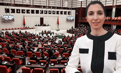 TCMB Başkanı Erkan mecliste sunum yapacak