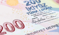 Yeni imzalı banknotlar tedavüle girdi