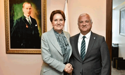 Akşener'i işaret etti! İYİ Parti'de üst düzey istifa