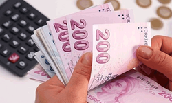 Çalışan annelere her ay 325 euro destek! İşte detaylar