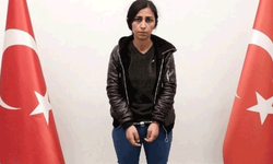 PKK'nın kritik ismi yakalandı