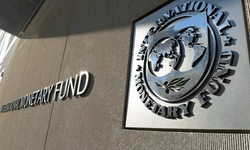 IMF'den Merkez Bankası'na methiyeler