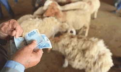 Kurban kesme bedeli açıklandı