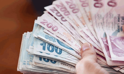 Bakanlık açıkladı: 119 milyon lira hesaplara yattı