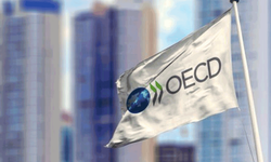 OECD, Türkiye için büyüme ve enflasyon tahminlerini değiştirdi