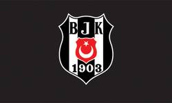 Beşiktaş, Twente maçı için UEFA'dan yer değişikliği talep etti