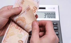 Cumhurbaşkanı Yardımcısı: Kanuni düzenleme gerekiyor