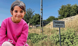 Son dakika! Narin Güran cinayeti davasında karar açıklandı!