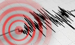 Muğla'da 3.5 şiddetinde deprem