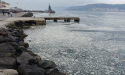 Çanakkale Boğazı'nda müsilaj alarmı