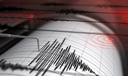 Hakkari'de korkutan deprem