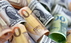 Euro zirveden geriledi