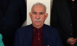 DEM Parti'den İmralı görüşmesi açıklaması: Üç kilit kavram vurgusu