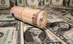 Euro'nun yükselmesi için neler gerekiyor?