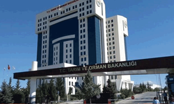 Tarım ve Orman Bakanlığı’ndan yeni karar: İçeceklerde 'şekersiz' ifadesi yasaklandı