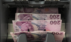 İş kurmak ve işini geliştirmek isteyenlere 2 milyon liraya kadar destek sağlanacak