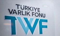 Türkiye Varlık Fonu'nun girişim ekosistemine sağladığı destek 100 milyon doları aştı