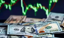Döviz kurları rekor tazeliyor