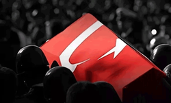 Yangın söndürme uçağı düştü: 1 şehit