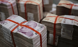 İşsizlik Sigortası Fonu geçen yıl yüzde 75 büyüdü