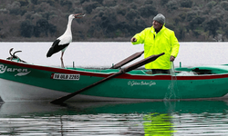 "Yaren" leylek 15. yılda da göçüp geldi