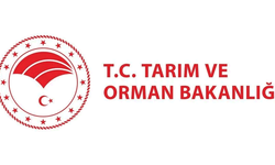 Bakanlık açıkladı: Tarımsal üretimi tehdit eden çekirge istilası yok