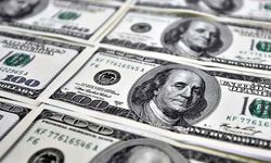 Dolar/TL rekor tazeledi