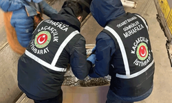 Gümrüklerde yılın ilk yarısında yaklaşık 63 milyar liralık kaçakçılık engellendi