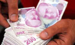 Temmuz ayı Sosyal ve Ekonomik Destek ödemeleri hesaplara yatırıldı