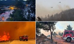Yurdun çeşitli bölgelerinde çıkan orman yangınlarına müdahale ediliyor